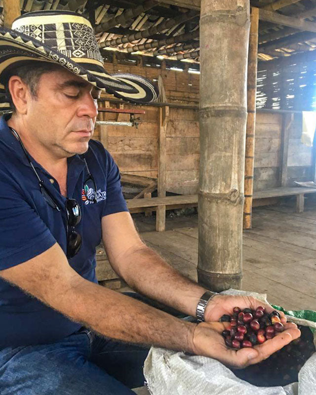 COLOMBIA - LA CRISTALINA , WASHED