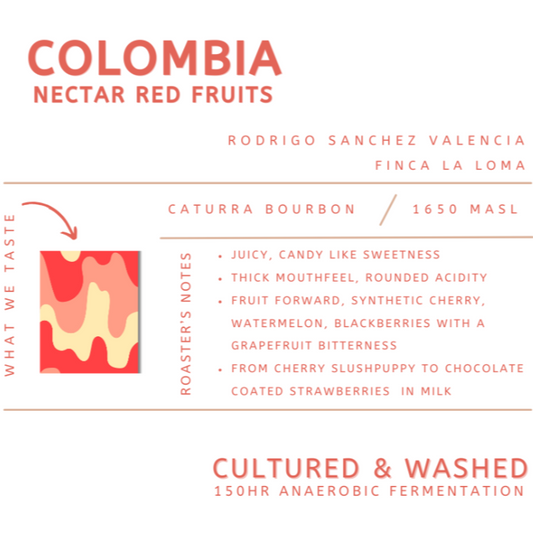 COLOMBIA - NECTAR RED FRUITS