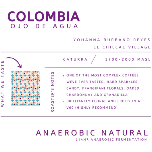 COLOMBIA, OJO DE AGUA, ANAEROBIC