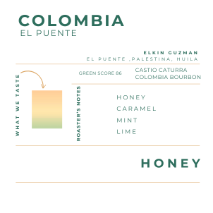 COLOMBIA - EL PUENTE, HONEY