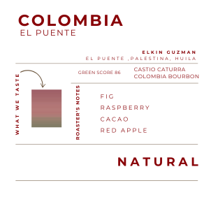 COLOMBIA - EL PUENTE , NATURAL