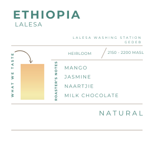 ETHIOPIA - LALESA, NATURAL