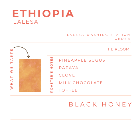 ETHIOPIA - LALESA , BLACK HONEY
