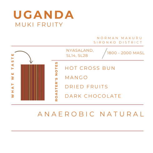 UGANDA - MUKI FRUITY, ANAEROBIC NATURAL