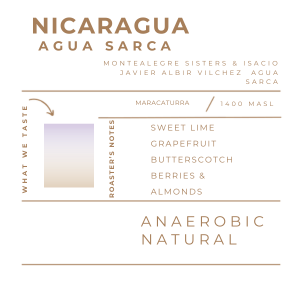 Nicaragua - Agua Sarca, Anaerobic