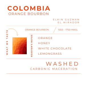 COLOMBIA - ORANGE BOURBON , CM