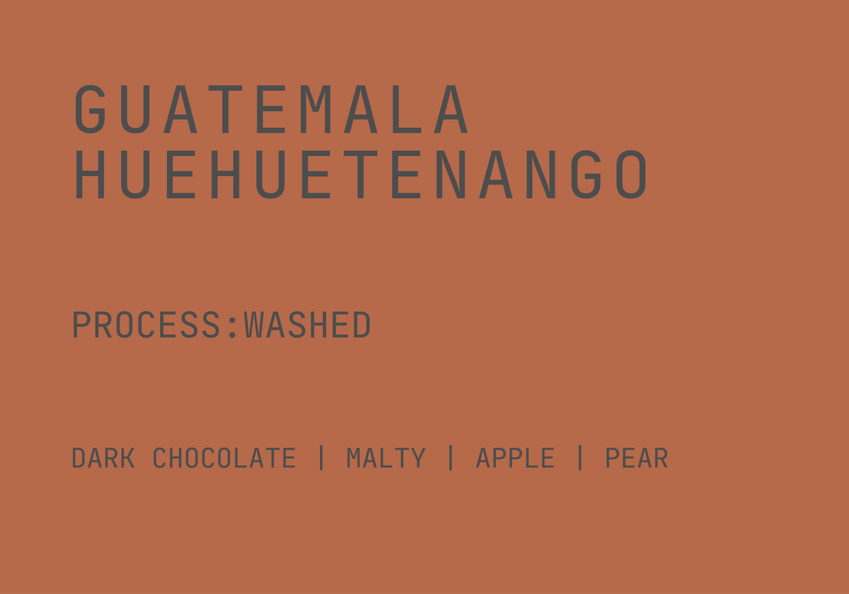 GUATEMALA - HUEHUETENANGO WASHED